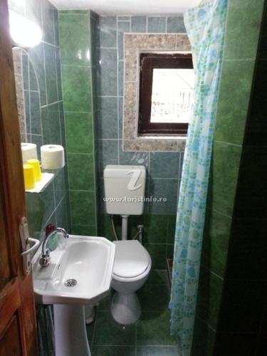 Delia Ocna Şugatag Exterior foto